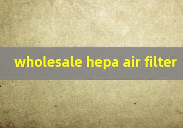 wholesale hepa air filter